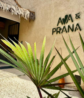 Ama & Prana